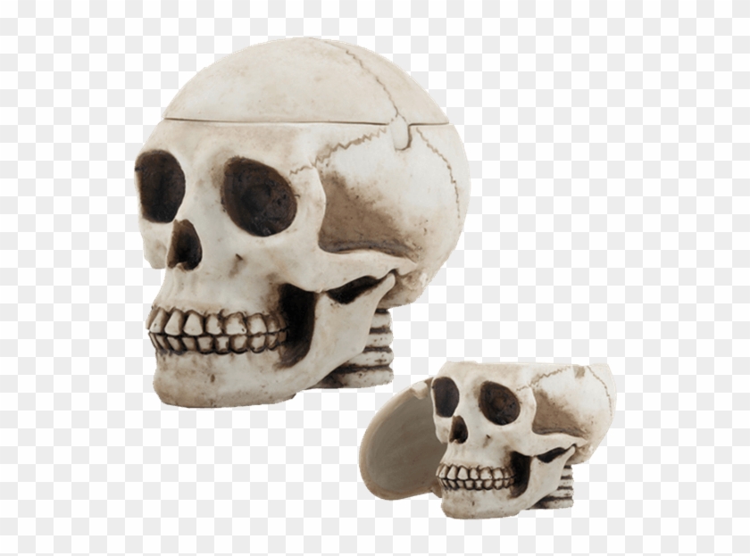 Price Match Policy - Skull Clipart