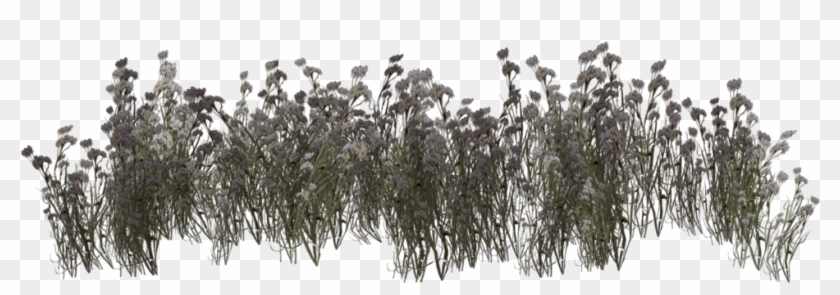 Grassland Png - Willow Clipart #3299628