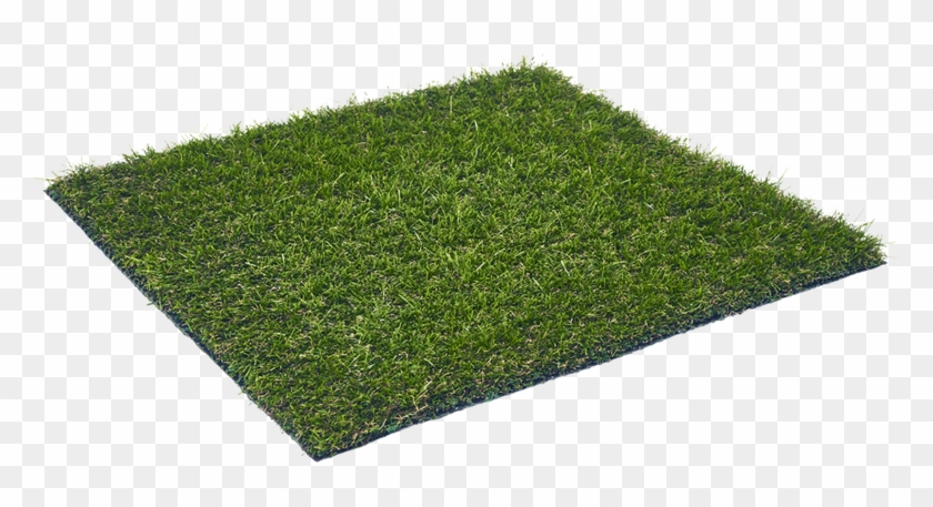 Grassland Apple - Lawn Clipart #3299805