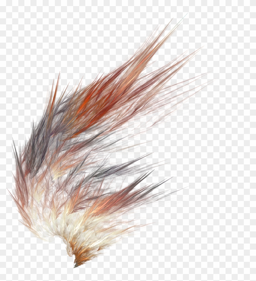 Image - Abstract Wing Clipart