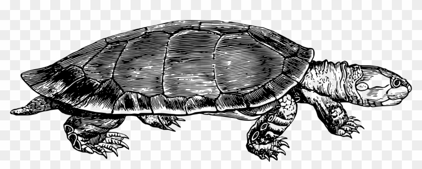 This Free Icons Png Design Of Yellow Spotted River Clipart #330810