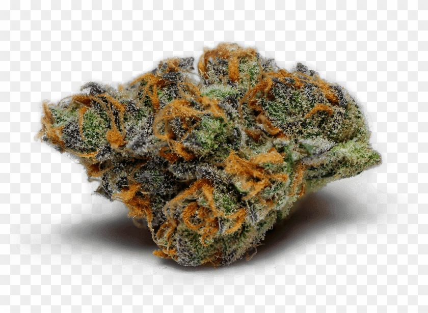Pennywise Medical Marijuana Strain - Rock Clipart