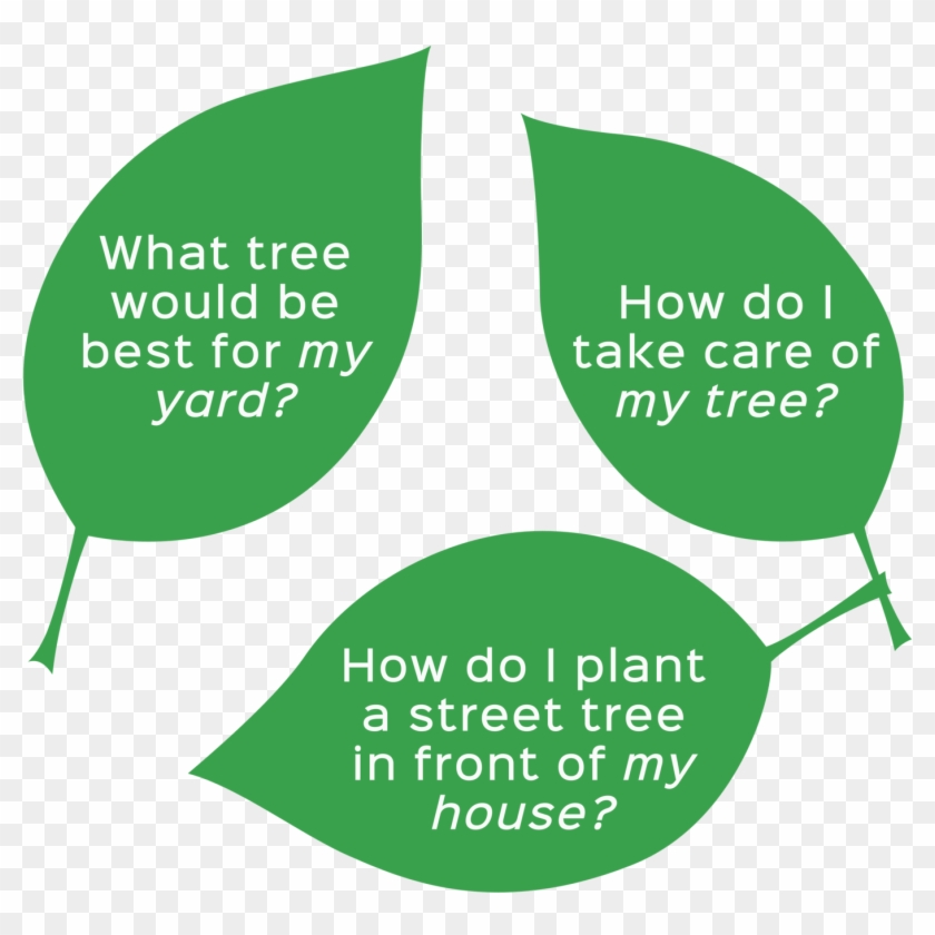 Street Tree Png Clipart #331212