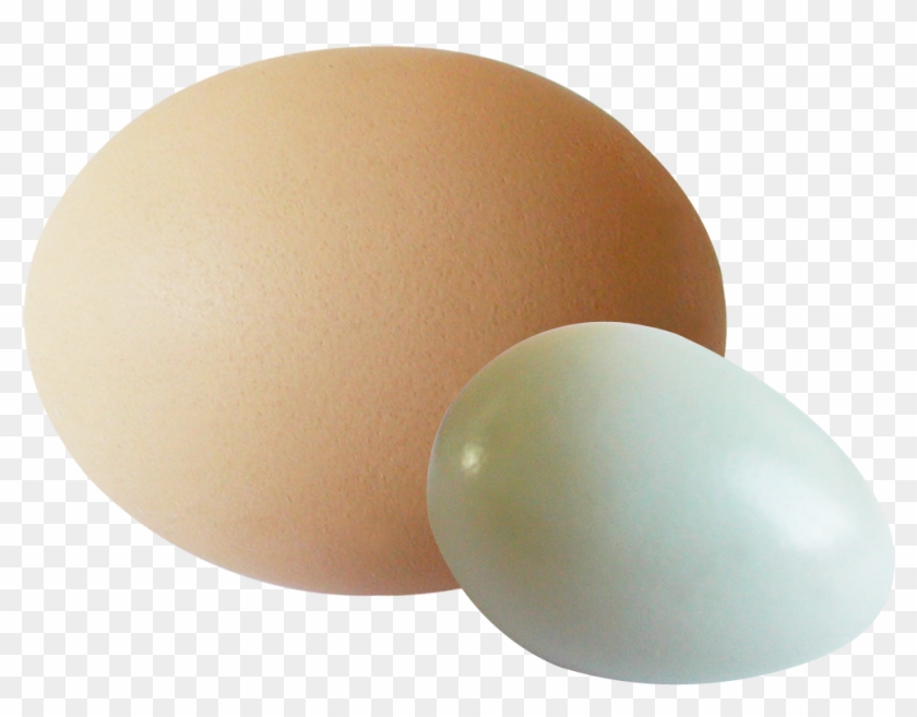 Oval Clipart #332202