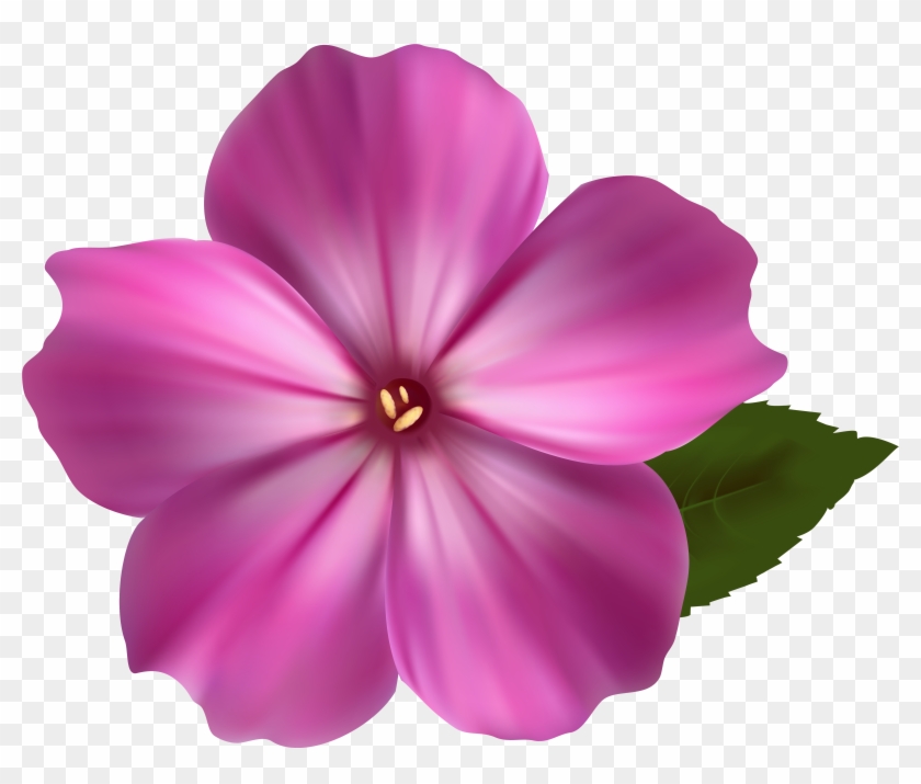 Flower Png Image Pink Clipart Png Images - Pink Flowers Clip Art Transparent Png #332369
