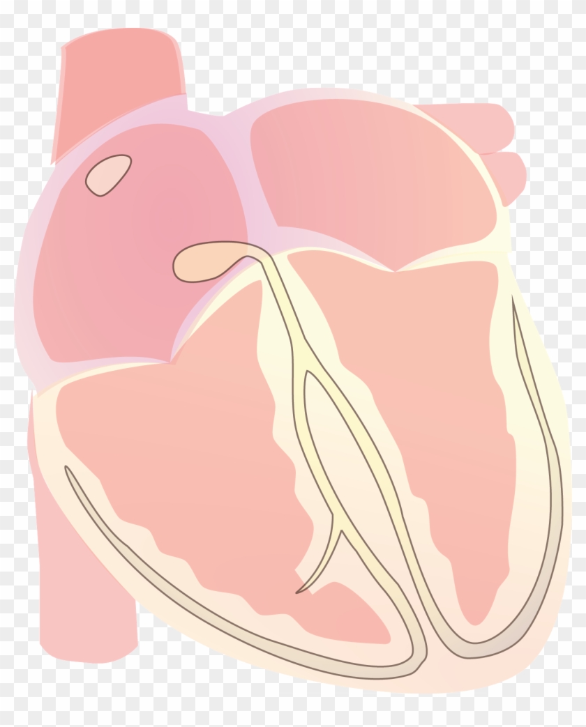 Heart Vector Electrical S Wave - Illustration Clipart