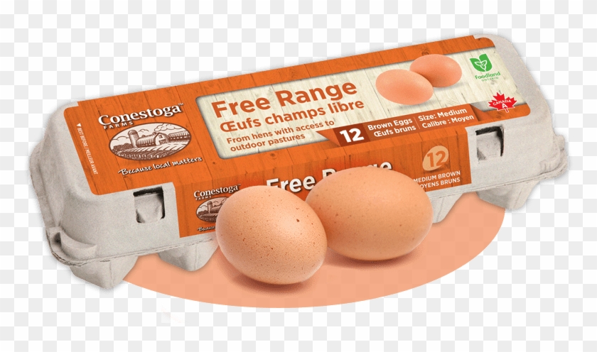Free Range Eggs - Free Range Eggs Png Clipart #332722