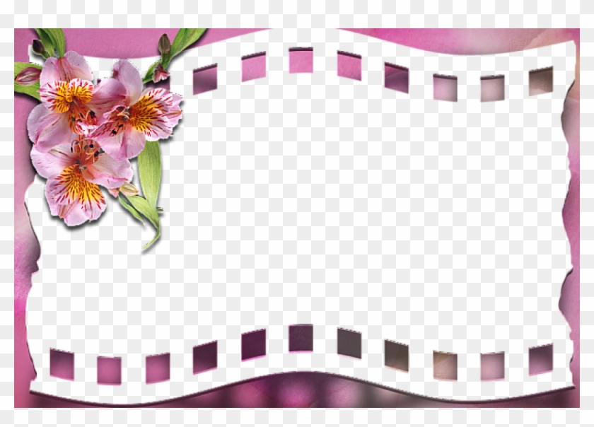 Free Png Best Stock Photos Pink Transparent Frame With - Pink Flower Frames Png Clipart #332773