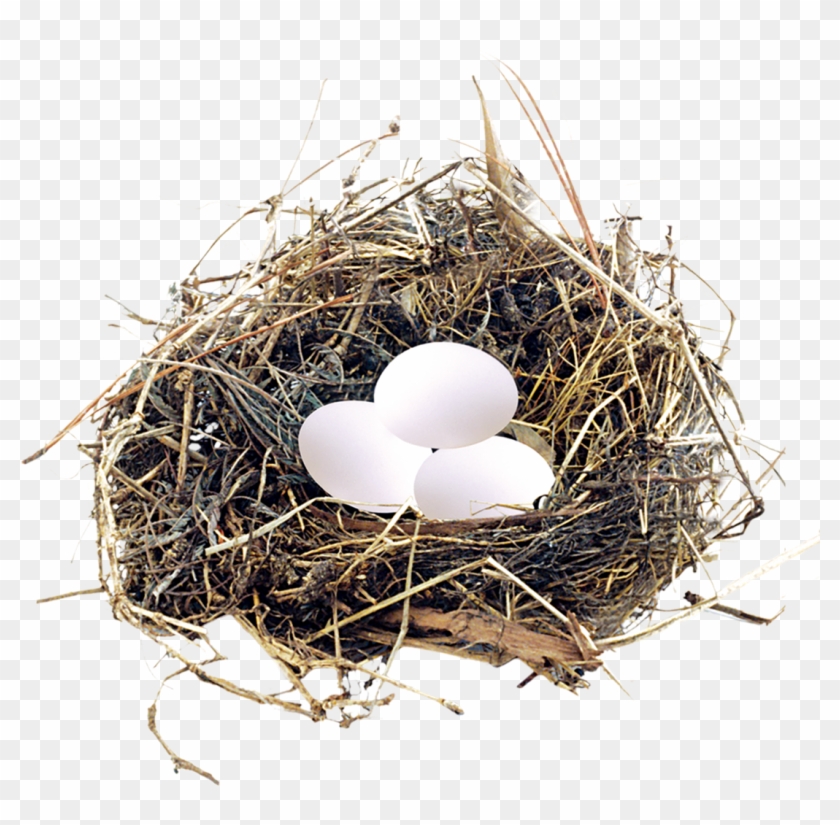 Eggs In A Nest Png - Poultry Clipart #333665