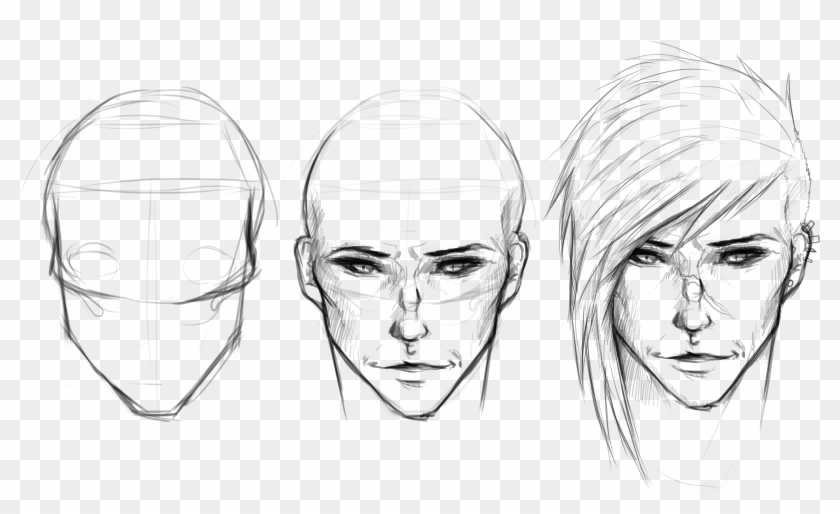 Anime Face Anatomy Drawing Clipart