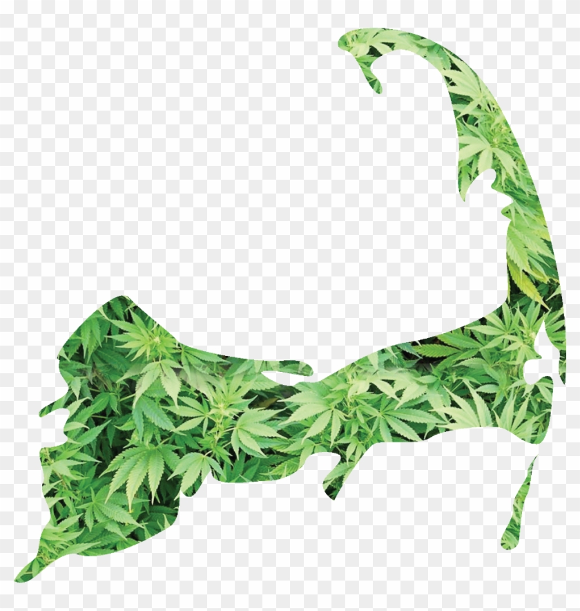 Mlg Joint Png - Weed Plant Background Clipart #336273