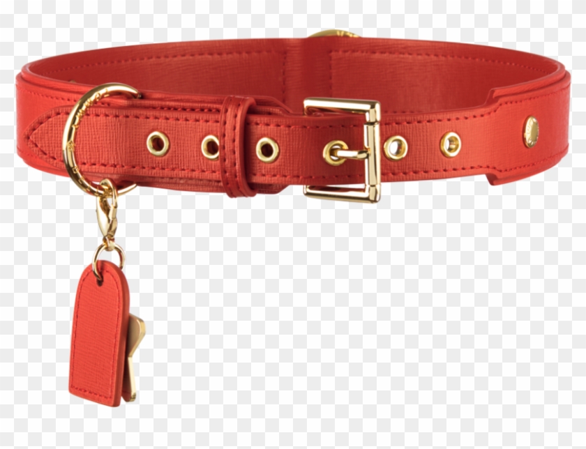 Red Dog Paw Png Clipart