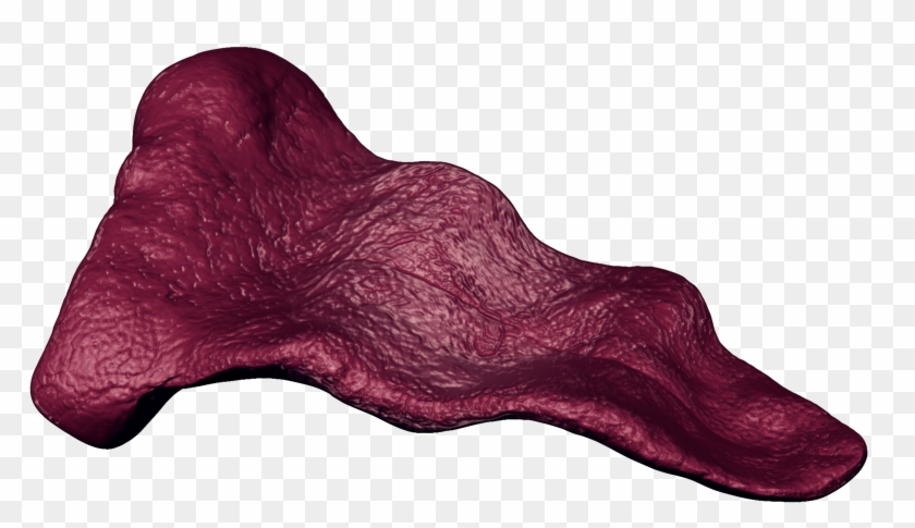 Long Tongue Png - Long Tongue Transparent Background Clipart