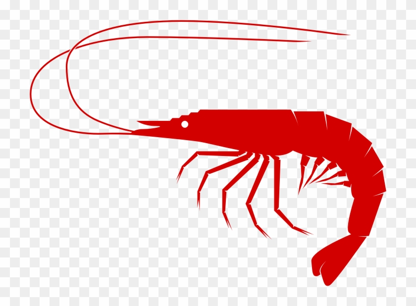 Shrimp Clip Stock - Transparent Background Shrimp Clip Art - Png Download #337991