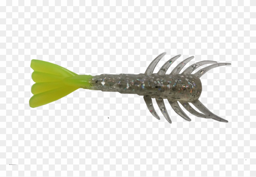 Shrimp , Png Download - Shrimp Clipart #338387