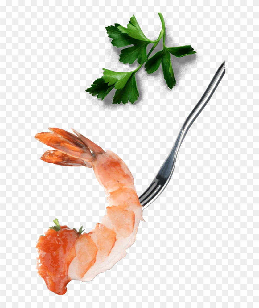 Wild Shrimp - Botan Shrimp Clipart