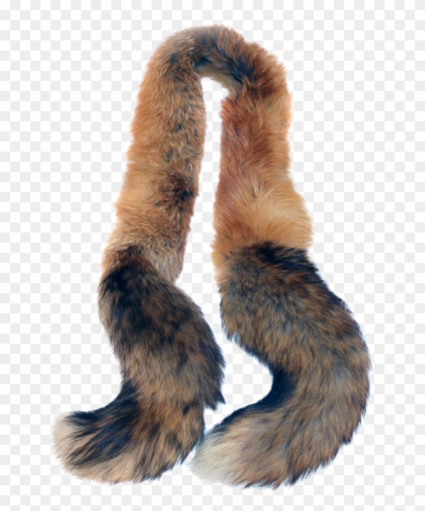 Png Black And White Download S Red Fox Tail Wrap Stole - Fur Clothing Clipart #338717