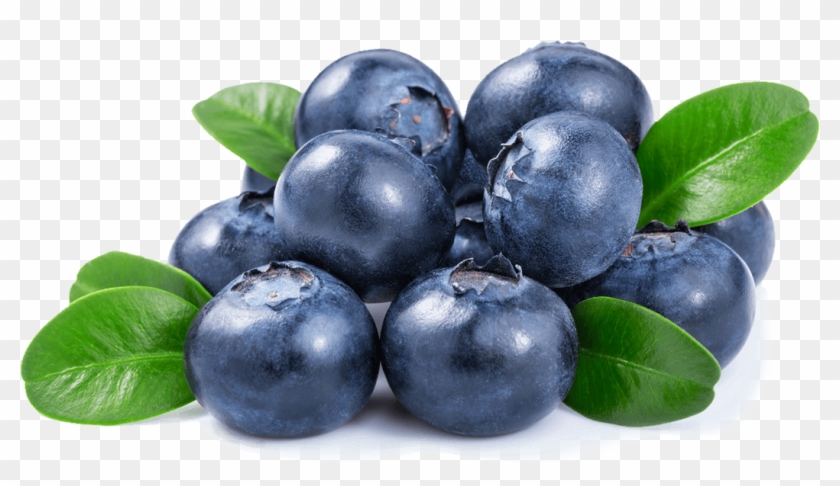Blueberries Png - Blueberry Png Clipart