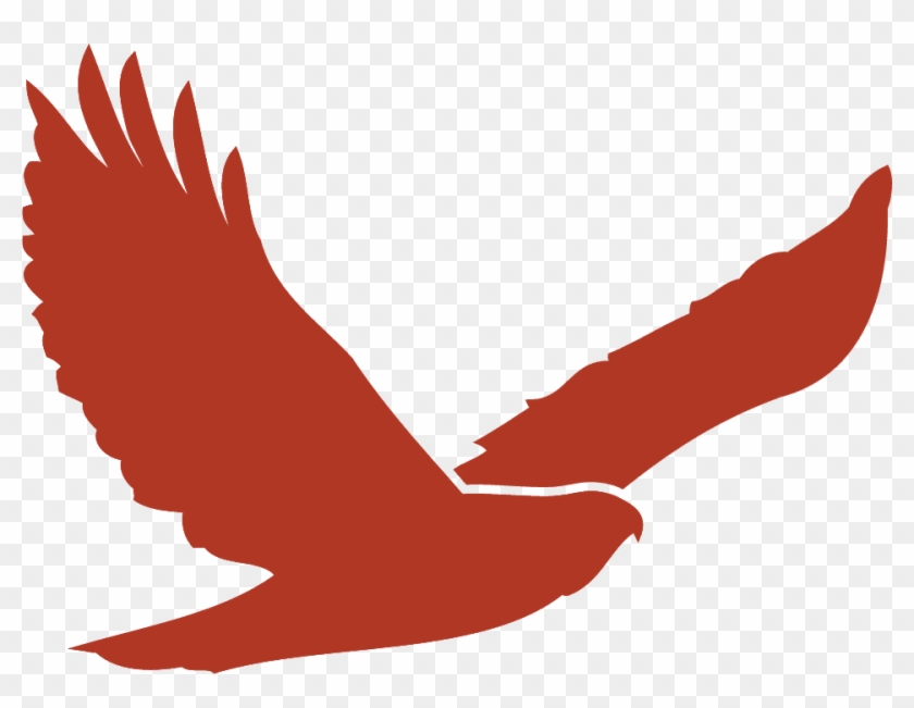 Red Tailed Hawk Clipart At Getdrawings - Red Hawk - Png Download