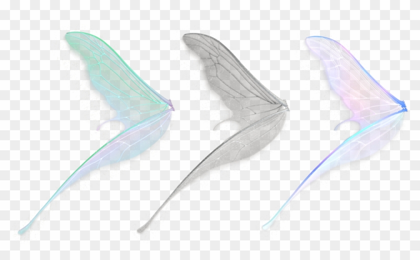 Realistic Fairy Wings Png - Fish Clipart #339546