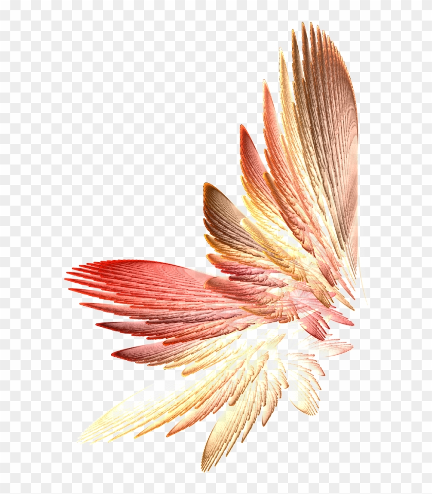 Tinkerbell Wings Png Download Clipart #339654