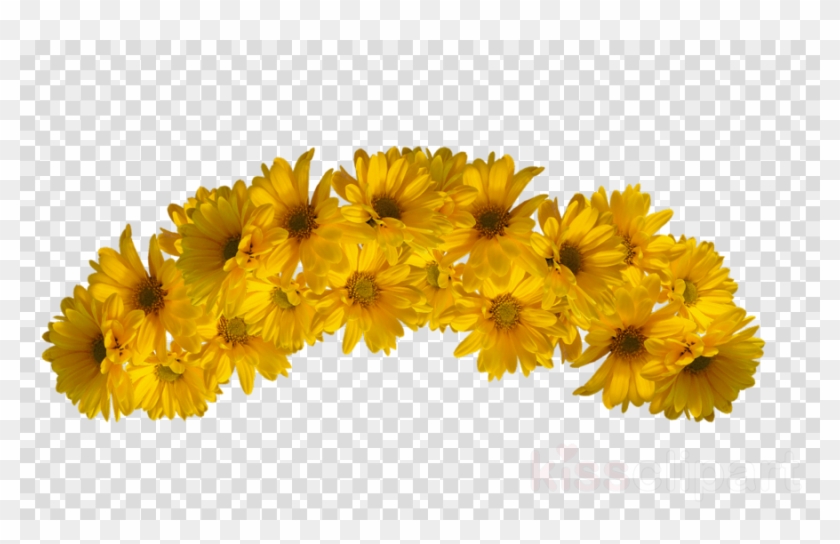 Transparent Flower Crowns - Yellow Flower Crown Png Clipart