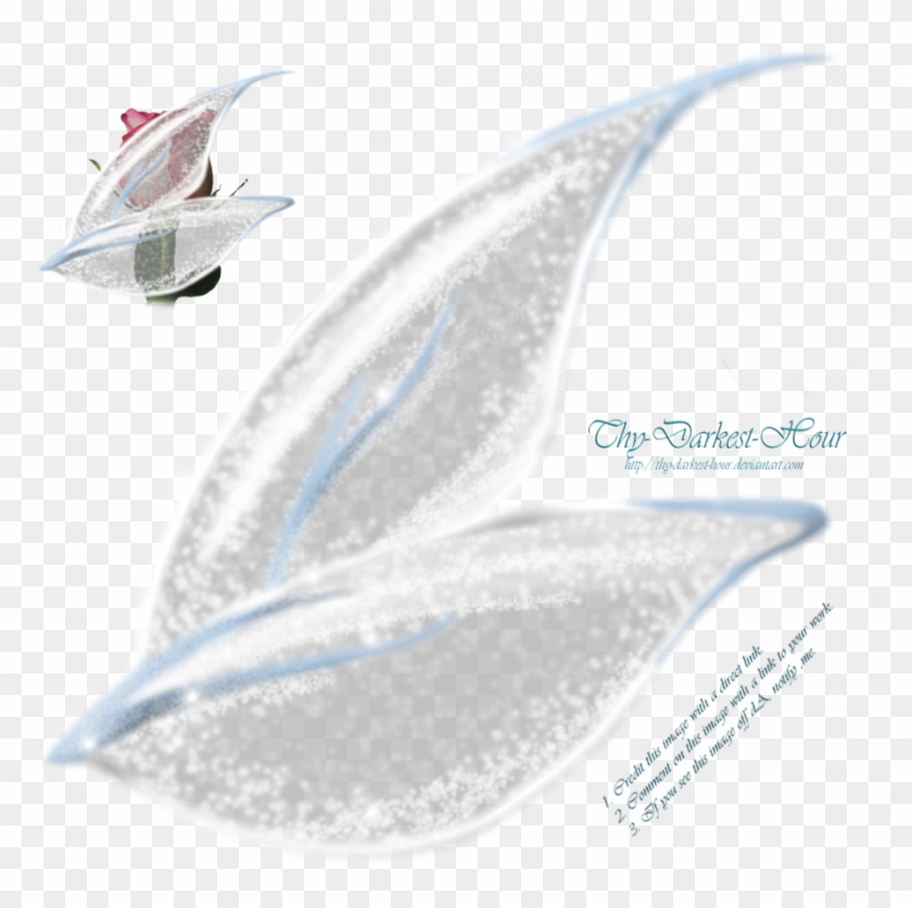 Fairy Wings Side View Png Clipart #339804