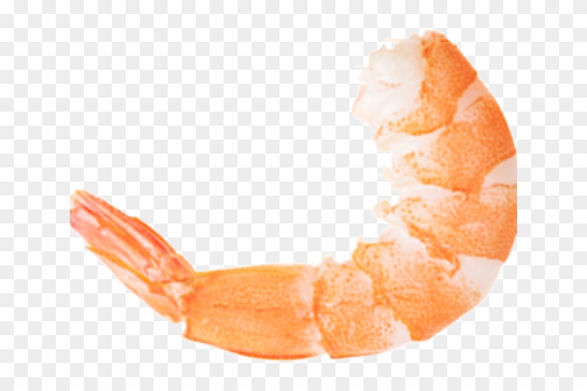Shrimp Clipart Transparent Background - Portable Network Graphics - Png Download