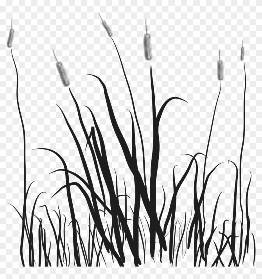 Swamp Clipart Grassland - Transparent Clipart White And Black Grass - Png Download #3300110