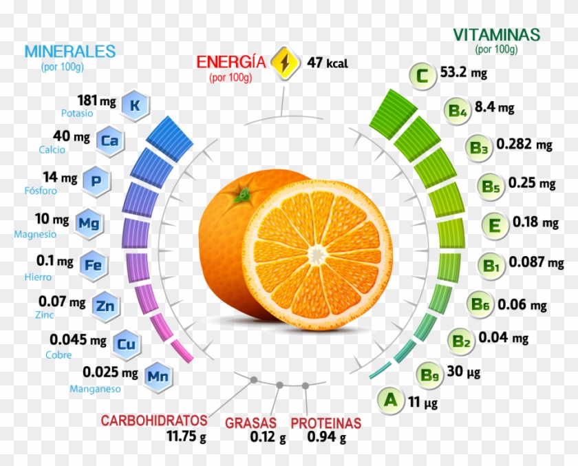 Conoce Lo Que Nos Aporta Un Zumo Recién Exprimido - Vitaminas Y Minerales De La Naranja Clipart