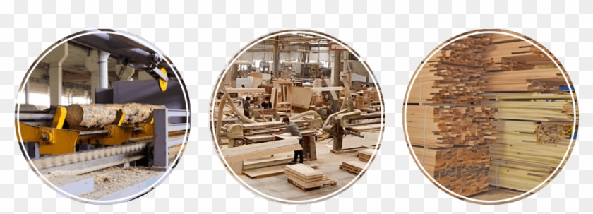 Hafcovac Explosion-proof Atex Ex Series Vacuum Cleaners - Circle Clipart