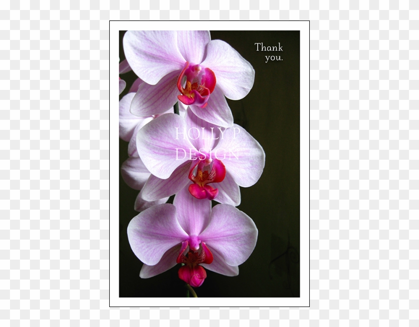 White Orchids Thank You For Being Part Of My Journey - Thank You Card Orchid Flowers Clipart