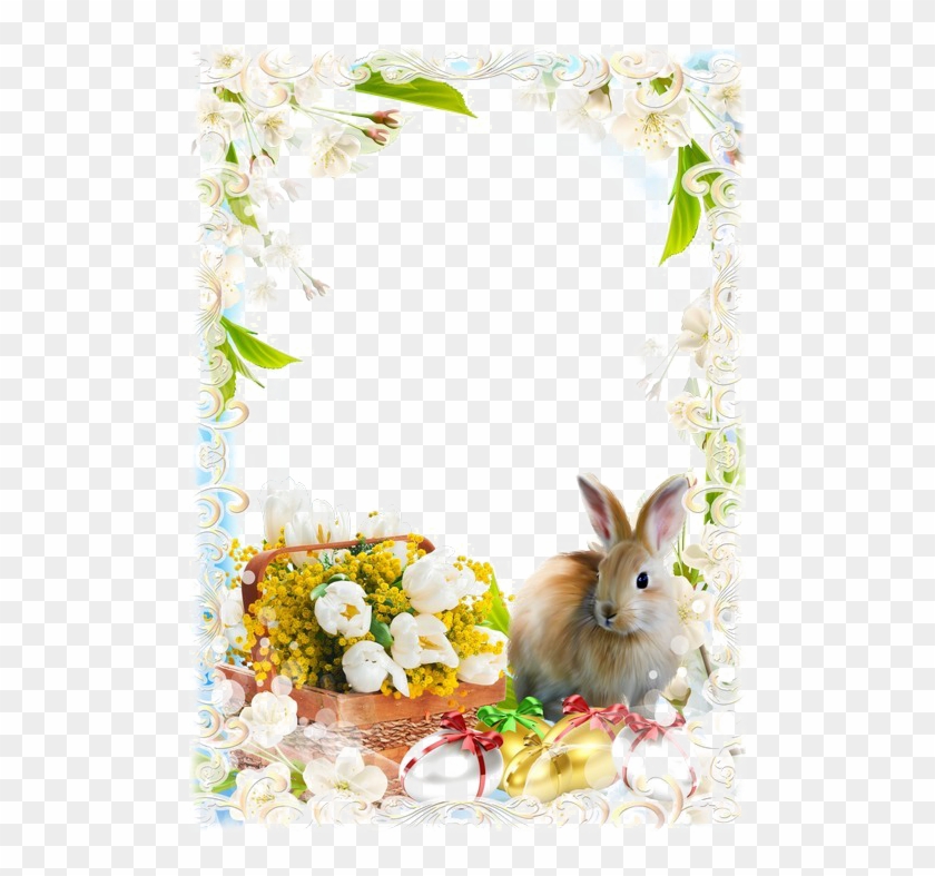 Easter Frames Transparent Image - Transparent Easter Frame Clip Art - Png Download #3303096