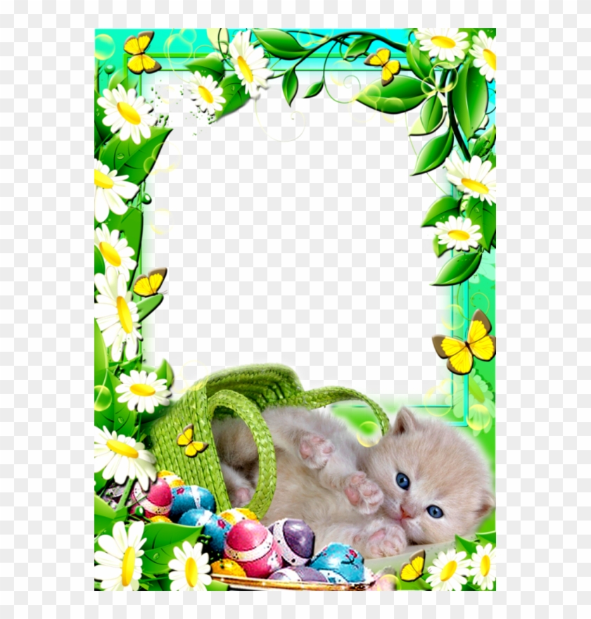 Easter Frames - Poze Personalizate De Paste Clipart