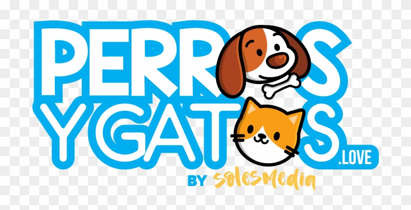 Perros Y Gatos - Perros Y Gatos Logo Png Clipart