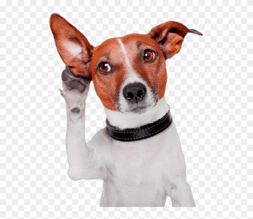 Tu Portal De Mascotas - Good Listener Clipart #3303713