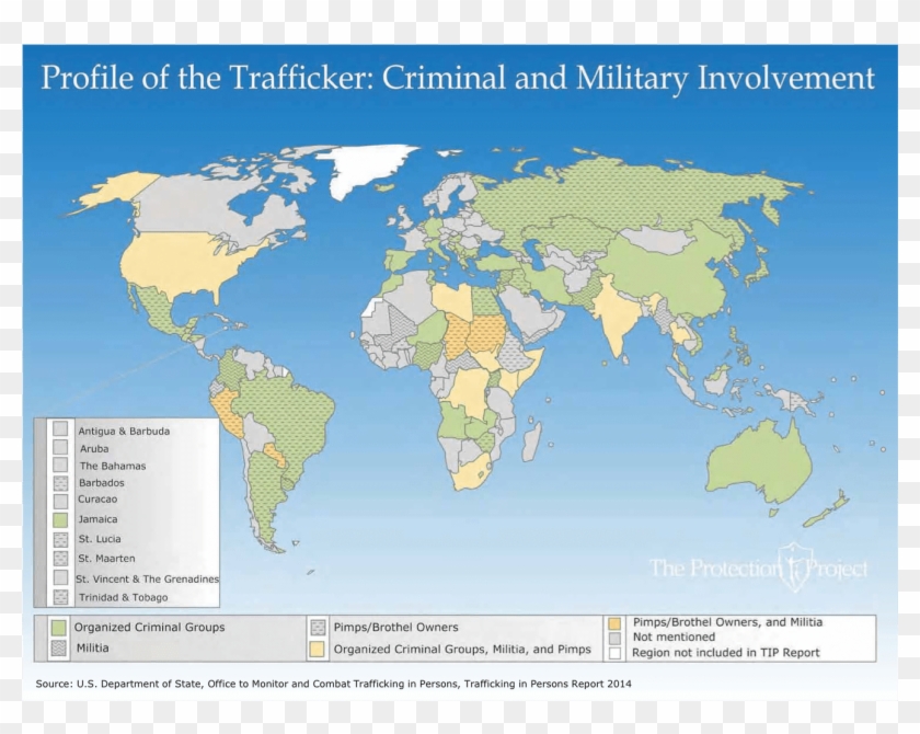 This Chart Summarizes The Different Profiles Of Traffickers - World Split Into Regions Clipart #3303850