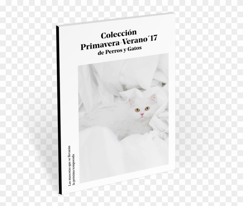 Guía Con La Colección Primavera '17 De Perros Y Gatos - Domestic Short-haired Cat Clipart #3303906
