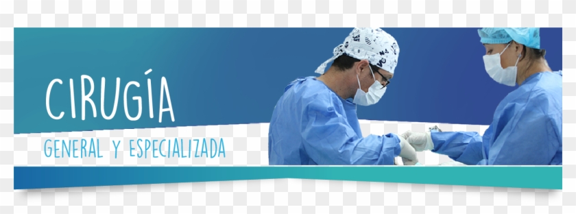 Somos Un Centro Veterinario Especializado En Cirugía - Cirugia Perros Y Gatos Clipart #3304473