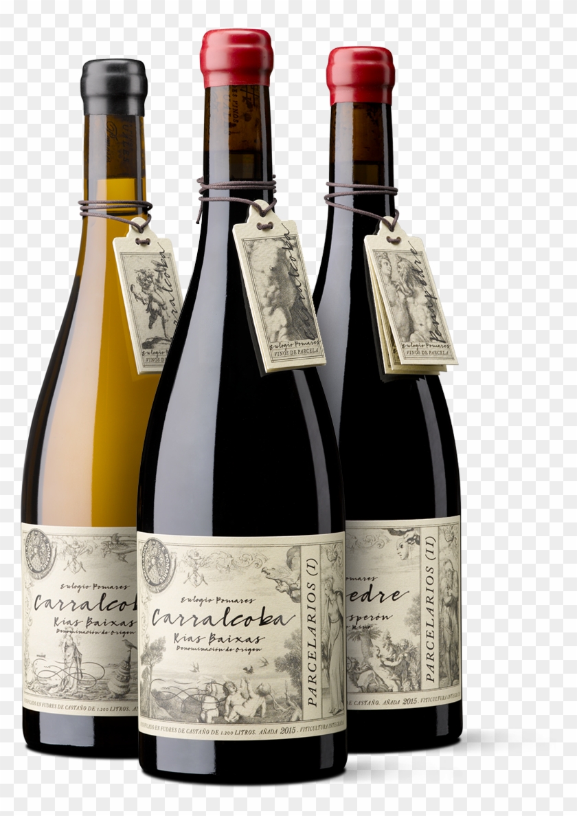 Parcelarios - Glass Bottle Clipart