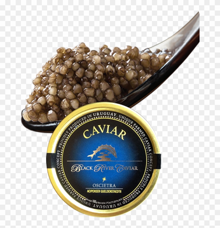 Cuchara - Mozartkugel Clipart