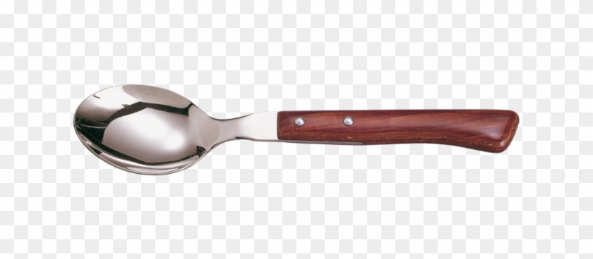 Spoon Clipart #3306048
