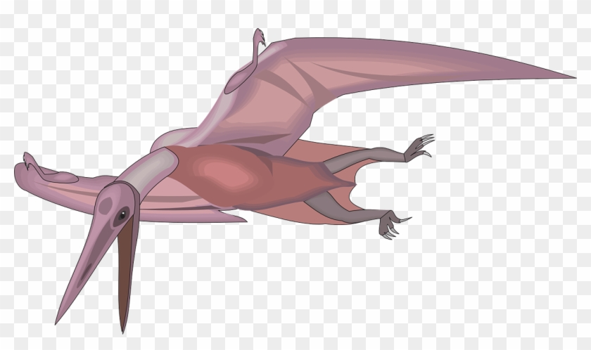 Bird Flying Wings Dinosaur Png Image - Khung Long Bay Png Clipart #3306144