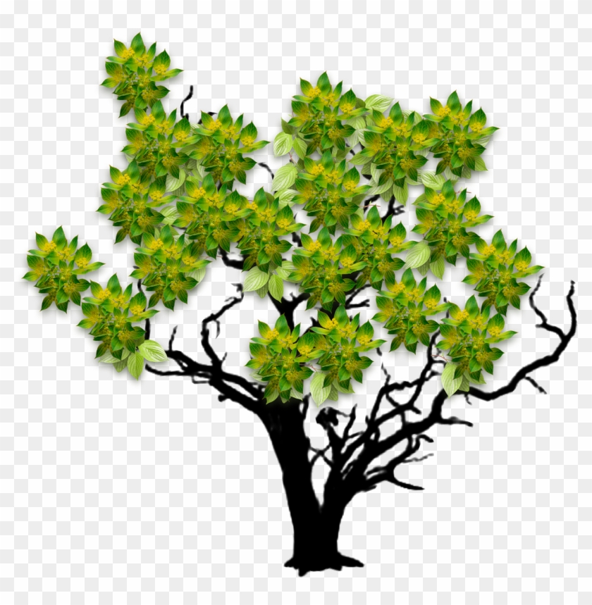 Https - //www - Dropbox - - Tree Dl=0 - Illustration Clipart #3306262