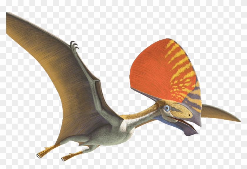 Nhm Nhm Nhm Nhm - Flying Dinosaur With Crest On Head Clipart