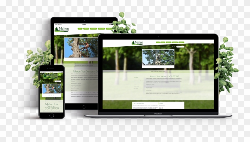 Melton-tree - Service Marketplace Script Clipart