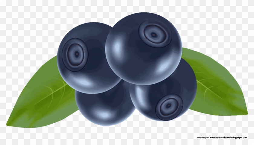 Blueberry Clipart Fresh - Fruits Vector - Png Download #3306752