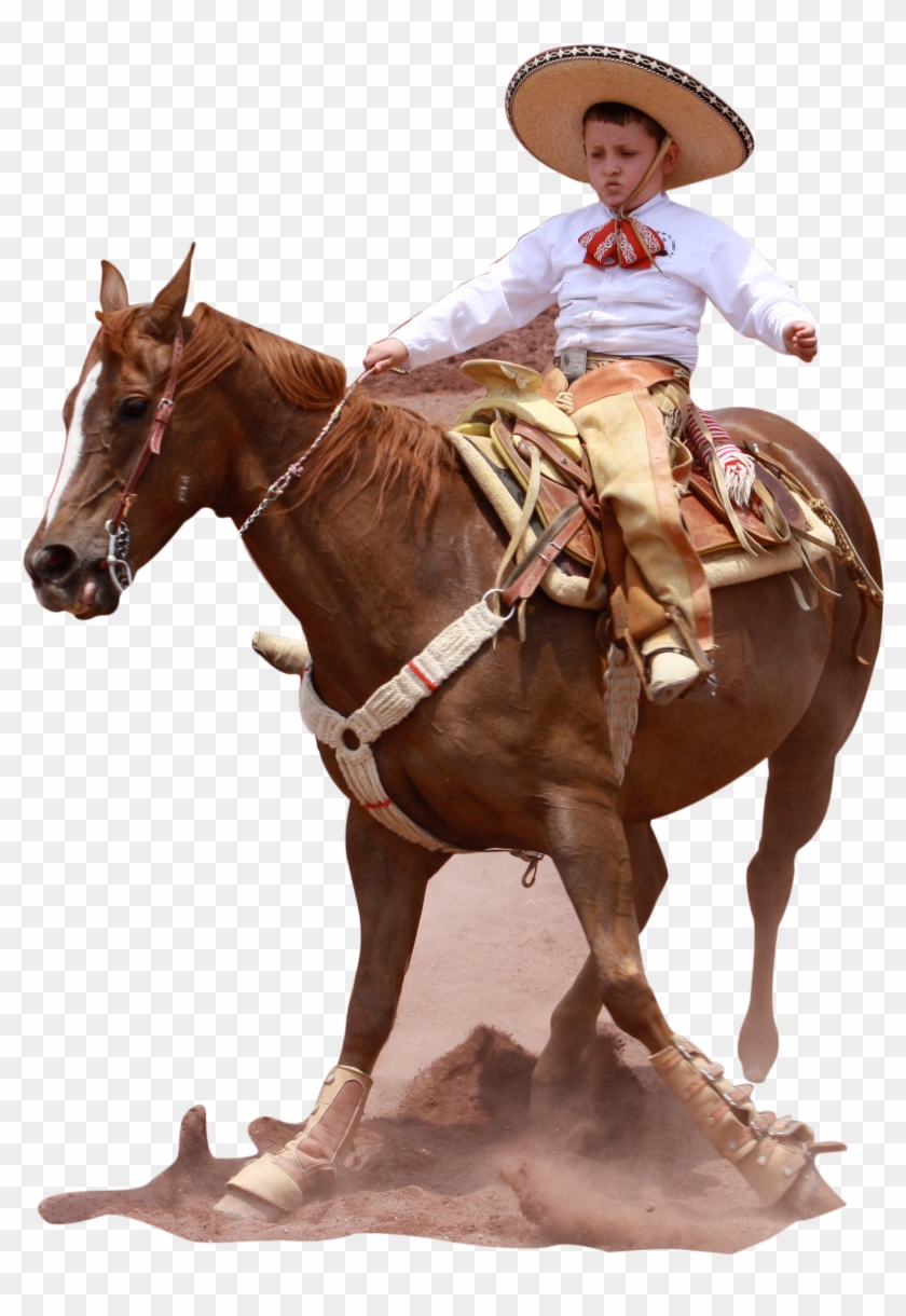 Charros - Sorrel Clipart #3306801