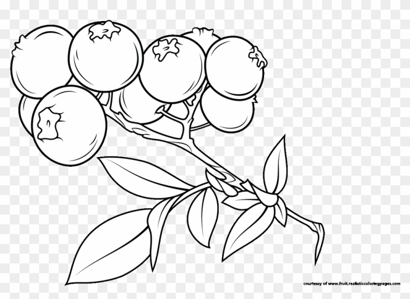 Png Free Download Fascinating Fruit Names A Z With - Illustration Clipart #3306858