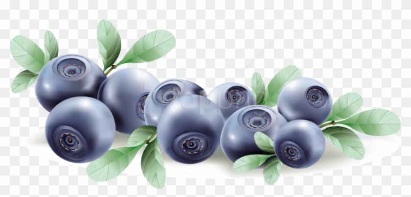 Free Png Download Blueberries Clipart Png Photo Png - Blueberry Vector Transparent Png